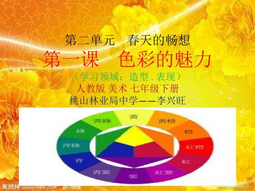 第二单元第一课色彩的魅力