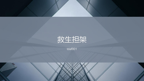救生担架的详细介绍