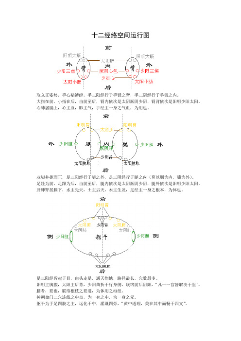 十二经络空间运行图