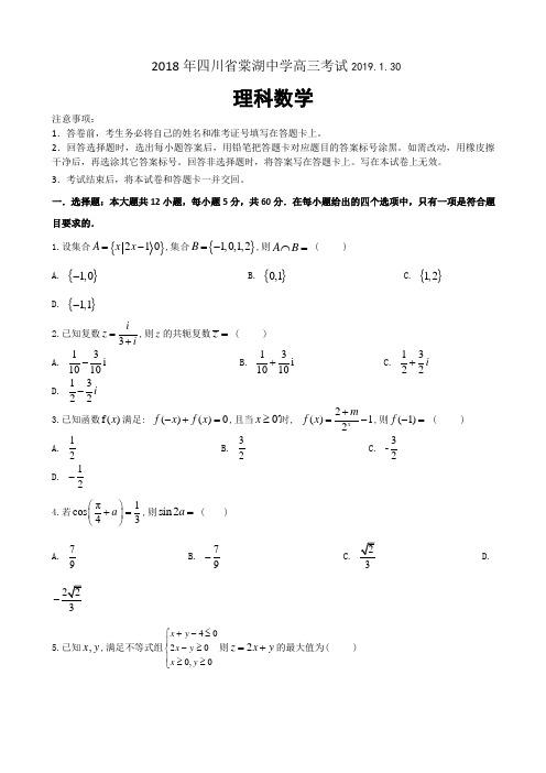 2019届四川省棠湖中学高三上学期(1.30)测试数学(理)试题Word版含答案