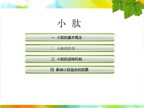 小肽