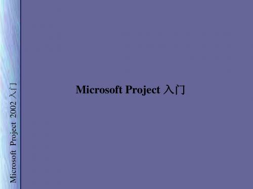 Project 入门