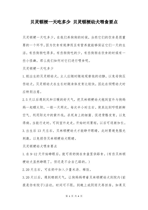 贝灵顿梗一天吃多少 贝灵顿梗幼犬喂食要点