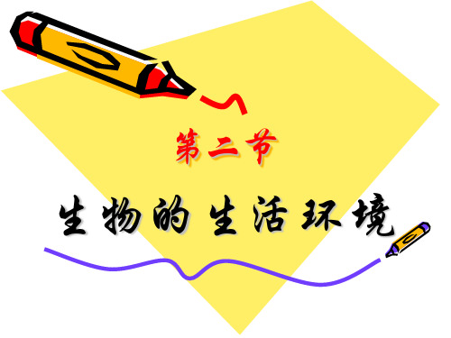 第二节生物的生活环境(共22张PPT)