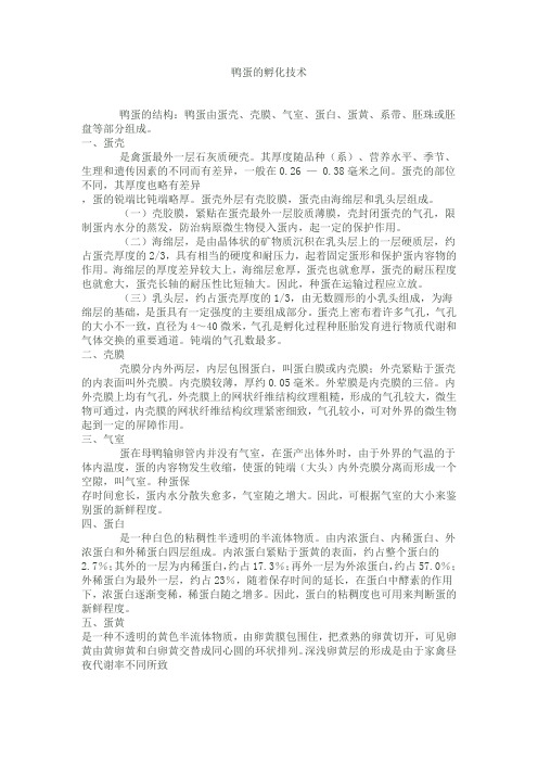 鸭蛋鸡蛋鹅蛋鸽蛋鹌鹑蛋的孵化技术
