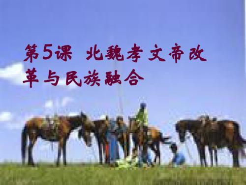 历史选修 历史上的重大改革 第5课 北魏孝文帝改革