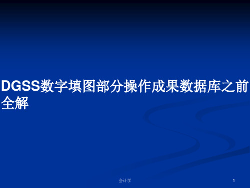 DGSS数字填图部分操作成果数据库之前全解PPT学习教案
