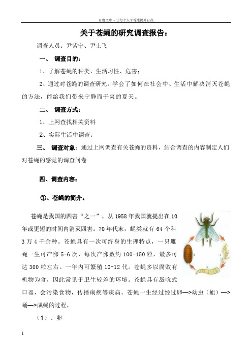 关于苍蝇的调查报告
