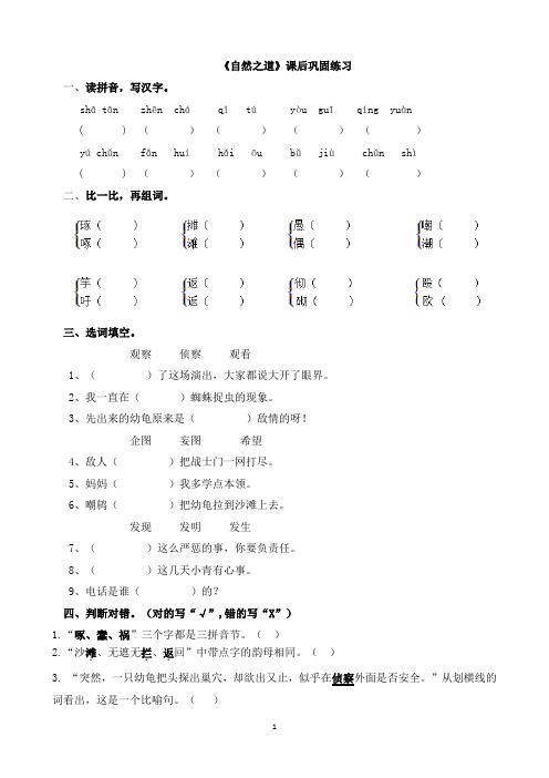 9、《自然之道》课后巩固练习