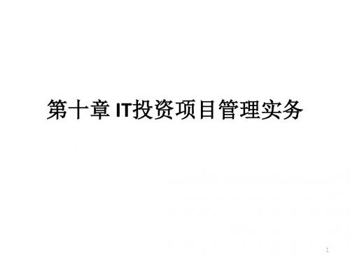 IT投资项目管理实务课程.ppt
