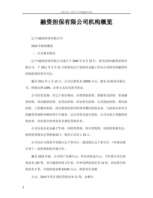 融资担保有限公司机构概览