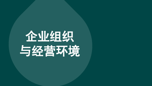 自考11743企业组织与经营环境考点总结复习资料完整版100%过关