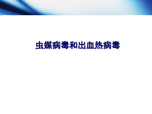虫媒病毒和出血热病毒解析PPT精品课件