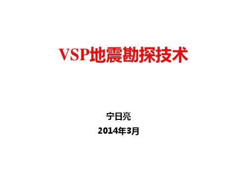 VSP地震勘探技术