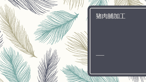 精品实训-猪肉脯的制作