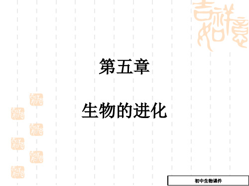 高一生物苏教版必修二课件：第五章_第一节_生物进化理论