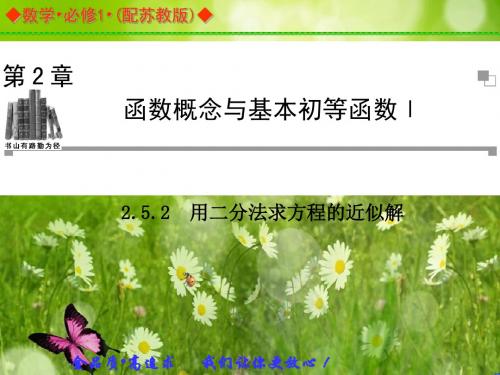 【金版案】高中数必修1(苏教版)：2.5.2 同步辅导与检测课件