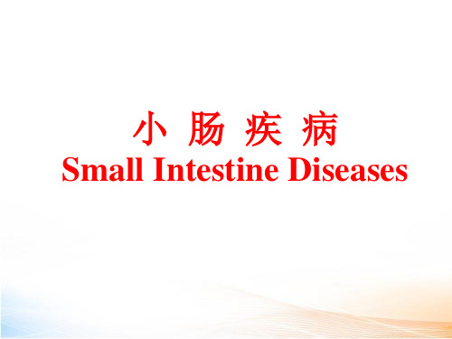 小肠疾病教学课件