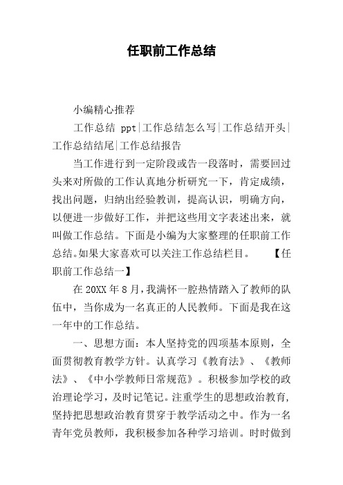 任职前工作总结