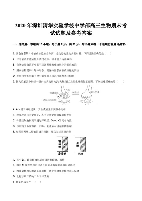 2020年深圳清华实验学校中学部高三生物期末考试试题及参考答案