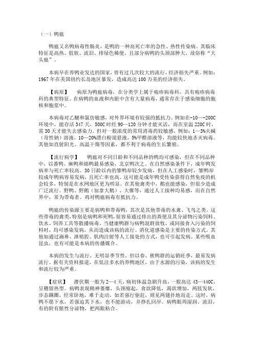 鸭常见病