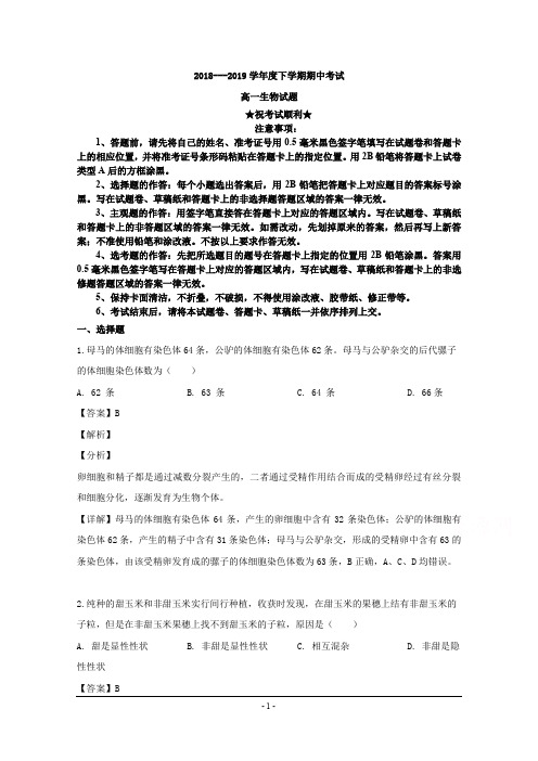 2018-2019学年黑龙江省齐齐哈尔市八中高一下学期期中考试生物试题