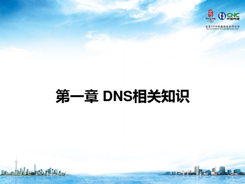 DNS原理介绍