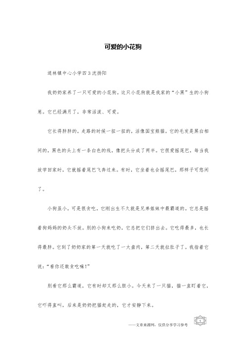 可爱的小花狗