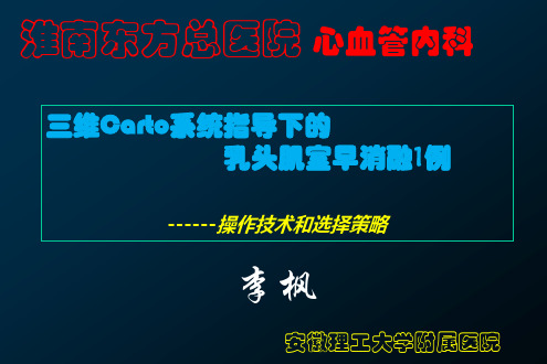 李枫分析：乳头肌室早消融1例
