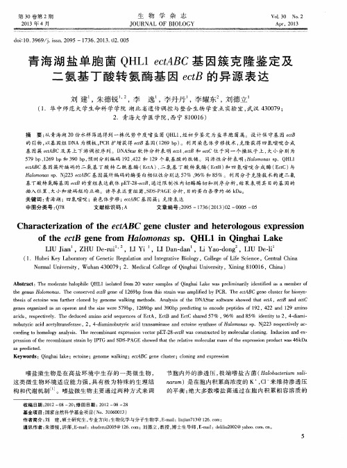 青海湖盐单胞茵QHL1ectABC基因簇克隆鉴定及二氨基丁酸转氨酶基因ectB的异源表达