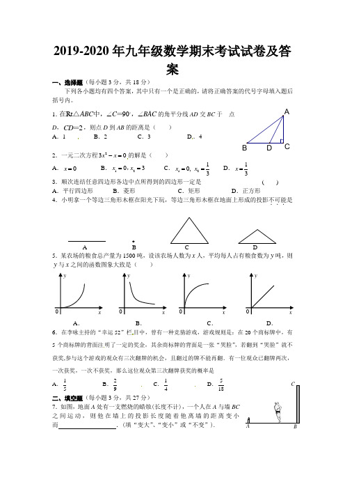 2019-2020年九年级数学期末考试试卷及答案