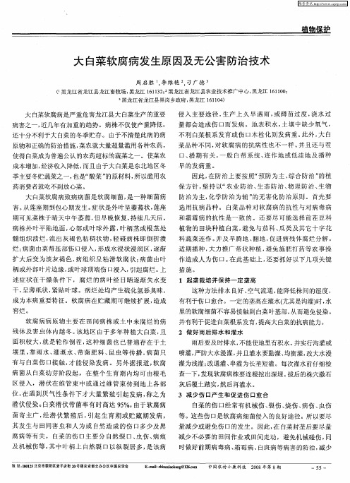 大白菜软腐病发生原因及无公害防治技术