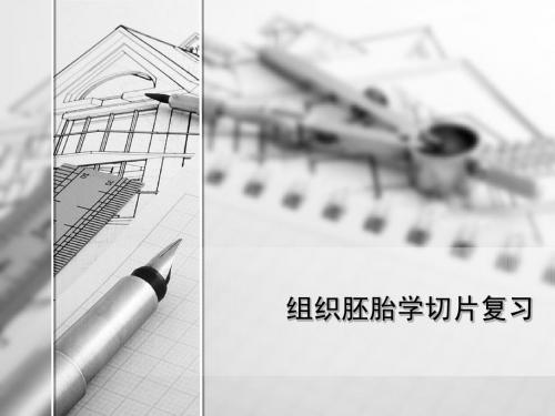 组胚切片复习
