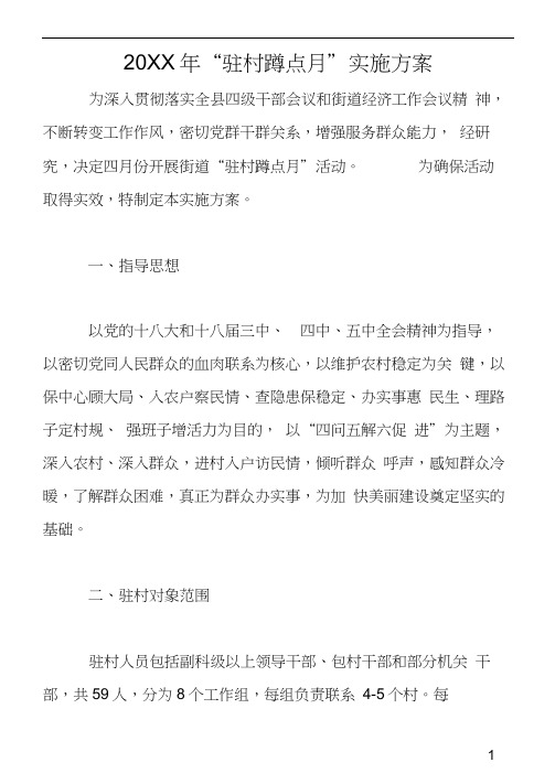 20XX年驻村蹲点月实施方案