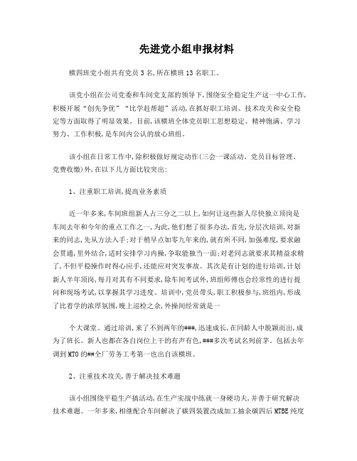 先进党小组材料