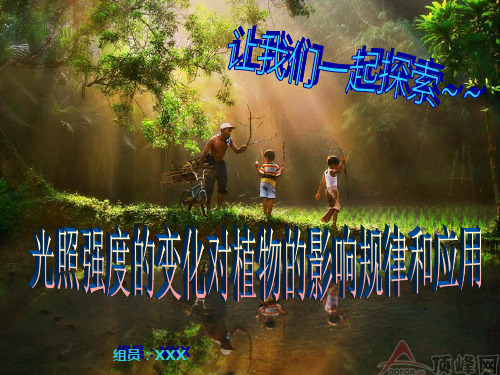 光照强度的变化对植物的影响规律和应用