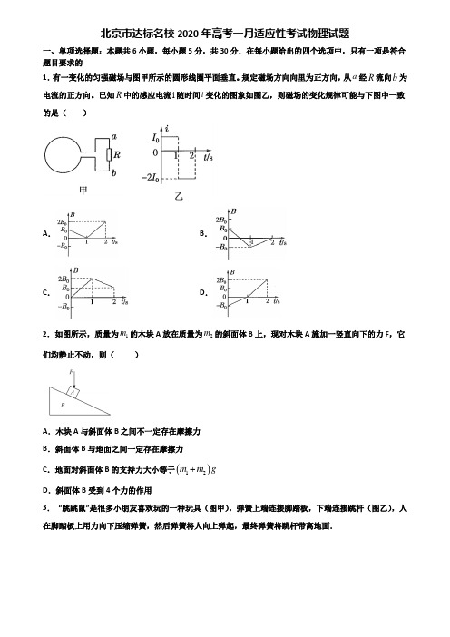 北京市达标名校2020年高考一月适应性考试物理试题含解析