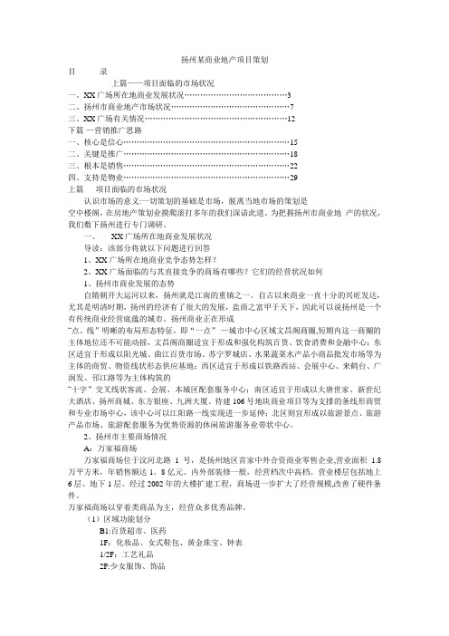 扬州某商业地产项目策划