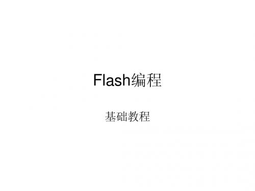 Flash编程(讲义)
