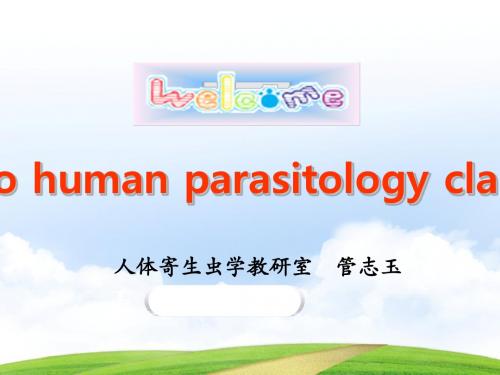 人体寄生虫学-第七节 旋毛形线虫第八节 丝虫-