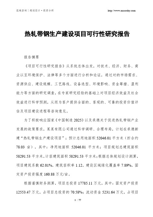 热轧带钢生产建设项目可行性研究报告