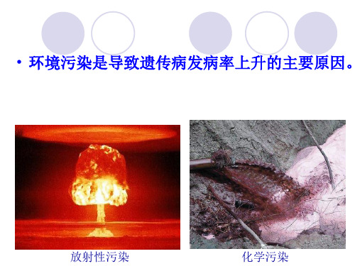 人类遗传病的主要类型-编号[4873]