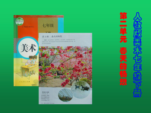 初中美术《春天的畅想》课件 新人教版
