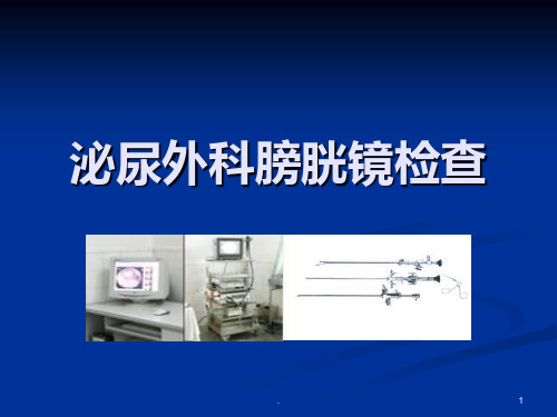 泌尿外科膀胱镜检PPT课件