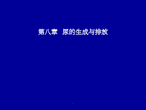 尿的生成与排放
