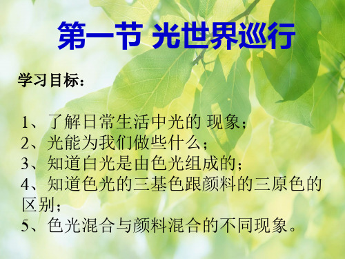 光世界巡行PPT教学课件