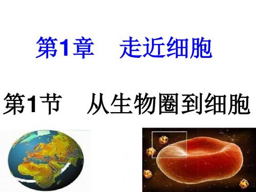 必修一 人教版 1.1从生物圈到细胞(共19张PPT)