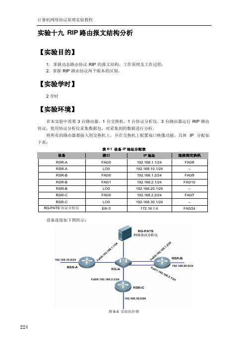 T322网络实验-19【协议分析】【RIP 路由报文结构分析】