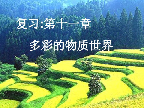 新人教版初中物理九年级《第十一章多彩的物质世界》复习课PPT课件
