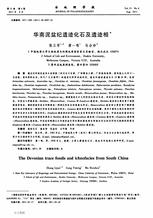 华南泥盆纪遗迹化石及遗迹相